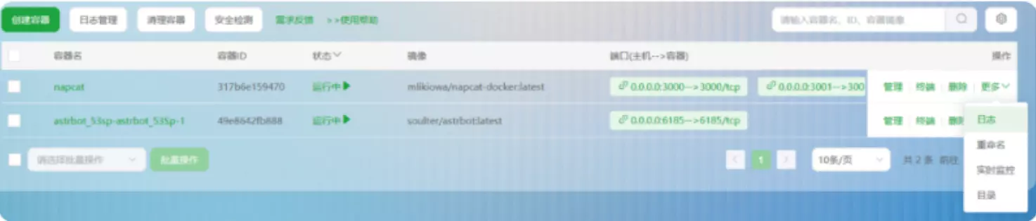 查看 Napcat 日志